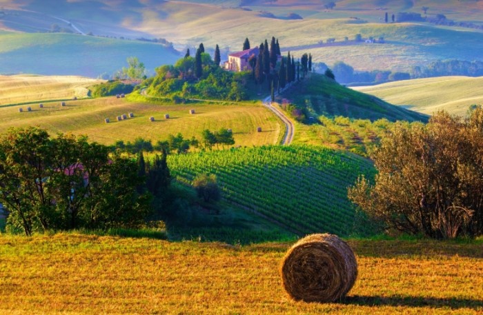 Things to do in Tuscany in June