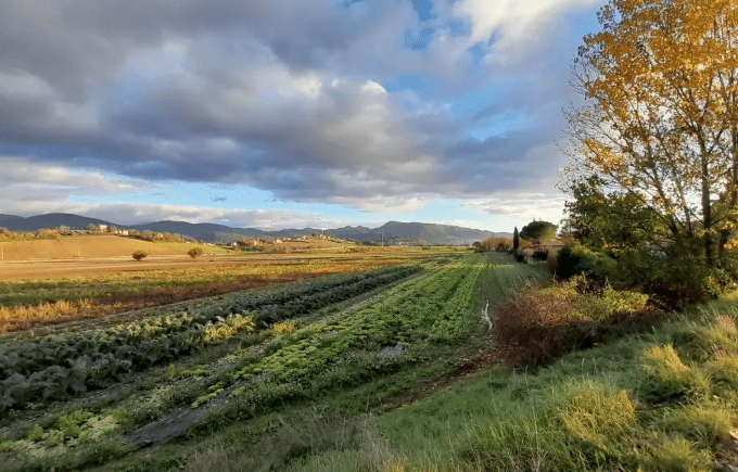 Best Time to Visit Italy for Specific